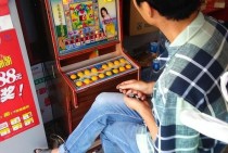 PA娱乐宠物乐园官网首页带你发现宠物休闲娱乐的新天地