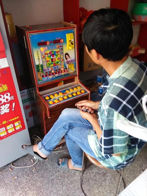 PA娱乐宠物乐园官网首页带你发现宠物休闲娱乐的新天地 PA娱乐宠物乐园官网首页带你发现宠物休闲娱乐的新天地
